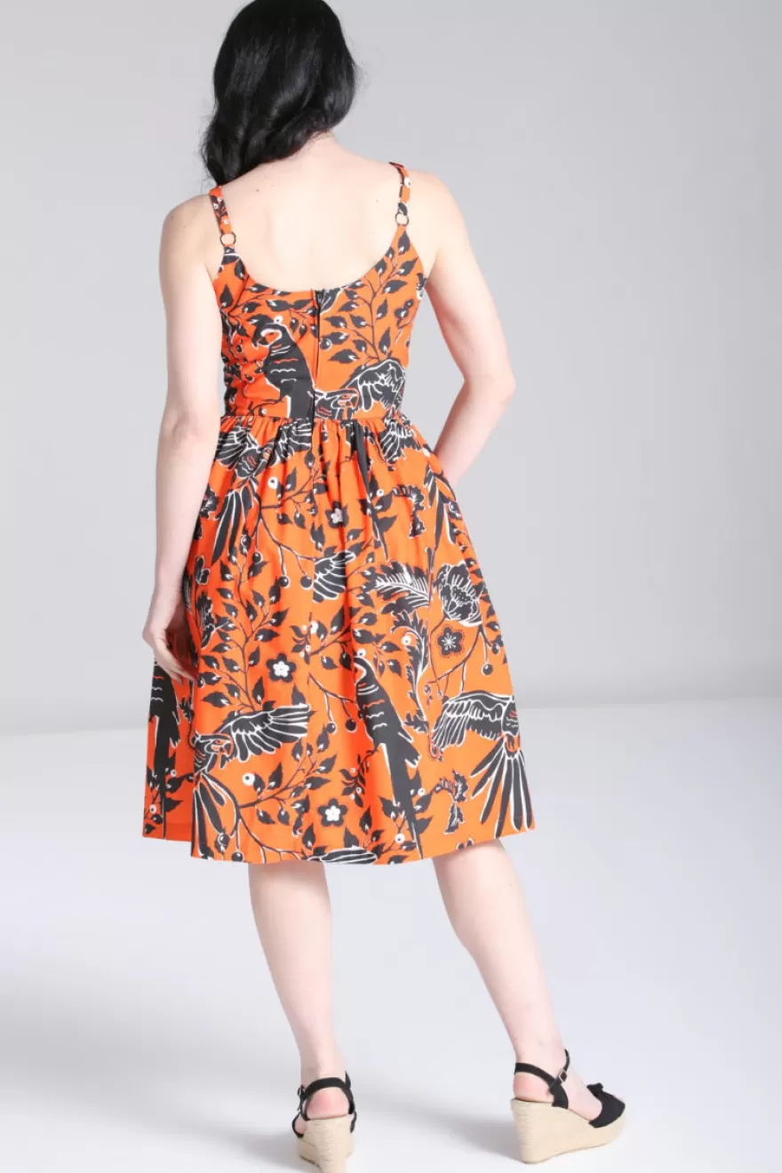 Fashion Hell Bunny Popsoda Orange